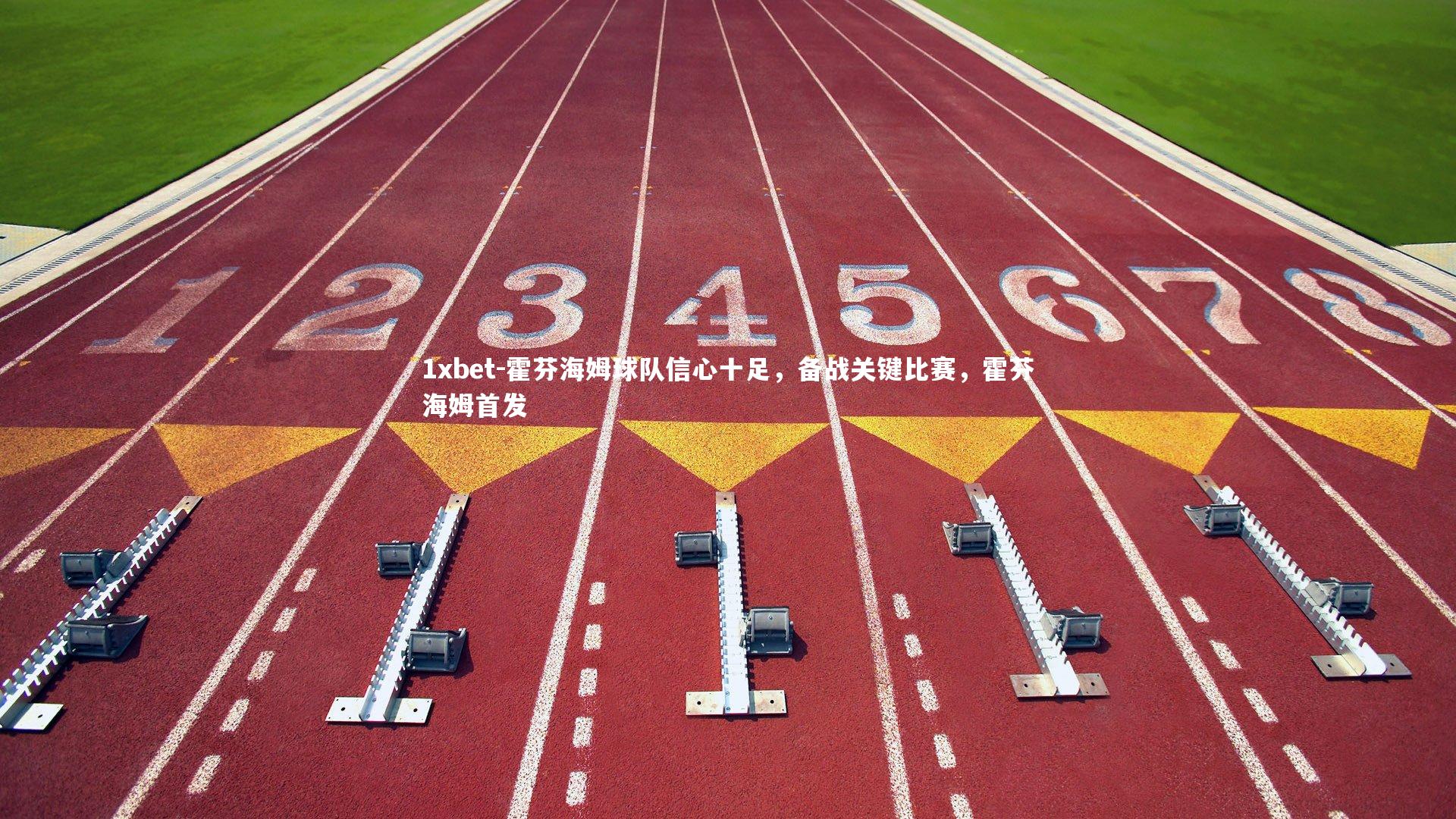 1xbet-霍芬海姆球队信心十足，备战关键比赛，霍芬海姆首发